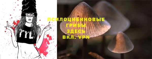 мдпв Навашино