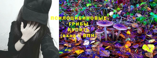 PSILOCYBIN Нефтекумск