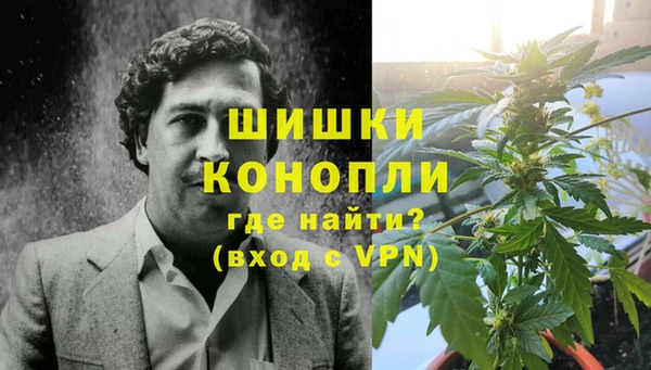 дживик Надым