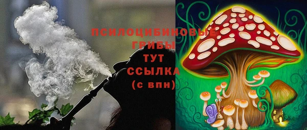 дживик Наволоки