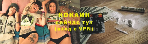 спайс Нея