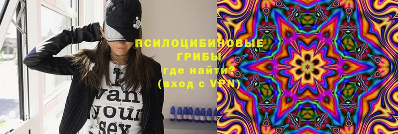 Псилоцибиновые грибы мухоморы  Ессентуки 