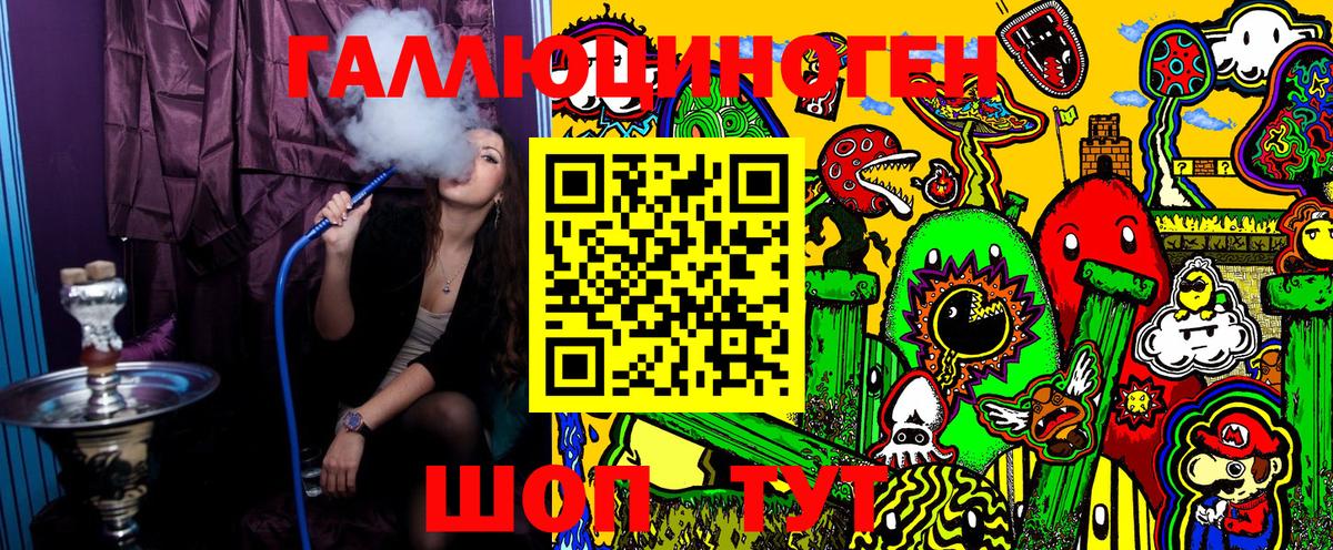 Галлюциногенные грибы Psilocybe Ессентуки