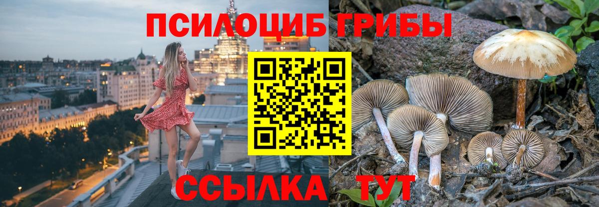 Галлюциногенные грибы GOLDEN TEACHER  Вход с VPN  как найти   Ессентуки 