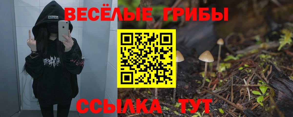 Псилоцибиновые грибы Magic Shrooms  Ессентуки 
