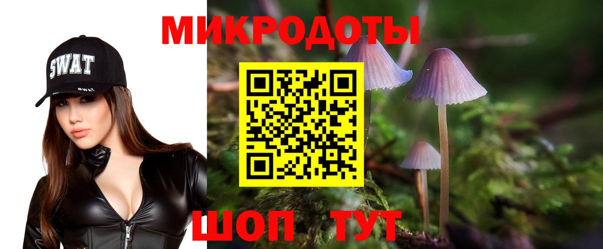 Псилоцибиновые грибы Psilocybine cubensis Ессентуки