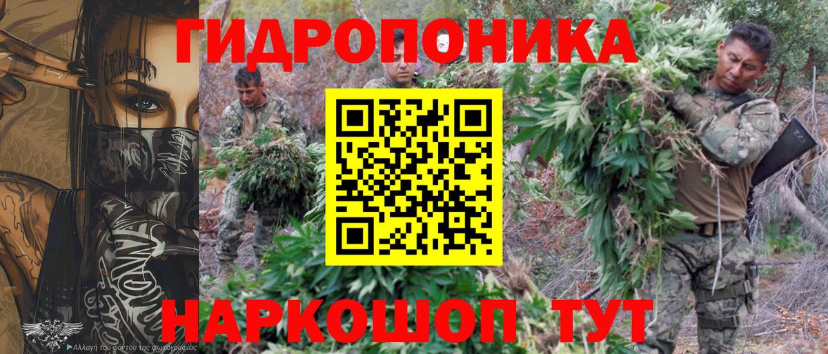 Ессентуки  Канабис OG Kush  Канабис семена  Бошки Шишки White Widow  Бошки марихуана план  Вход с VPN 